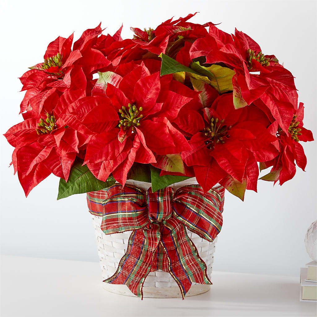 Happiest Holidays Poinsettia – Jewel, Itasca IL