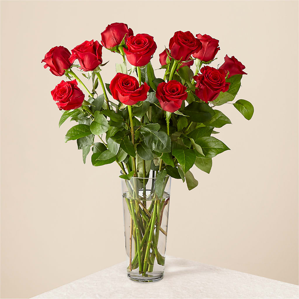 Long Stem Red Rose Bouquet – Jewel, Itasca IL
