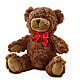 Adorable Plush Bear – Jewel, Itasca IL