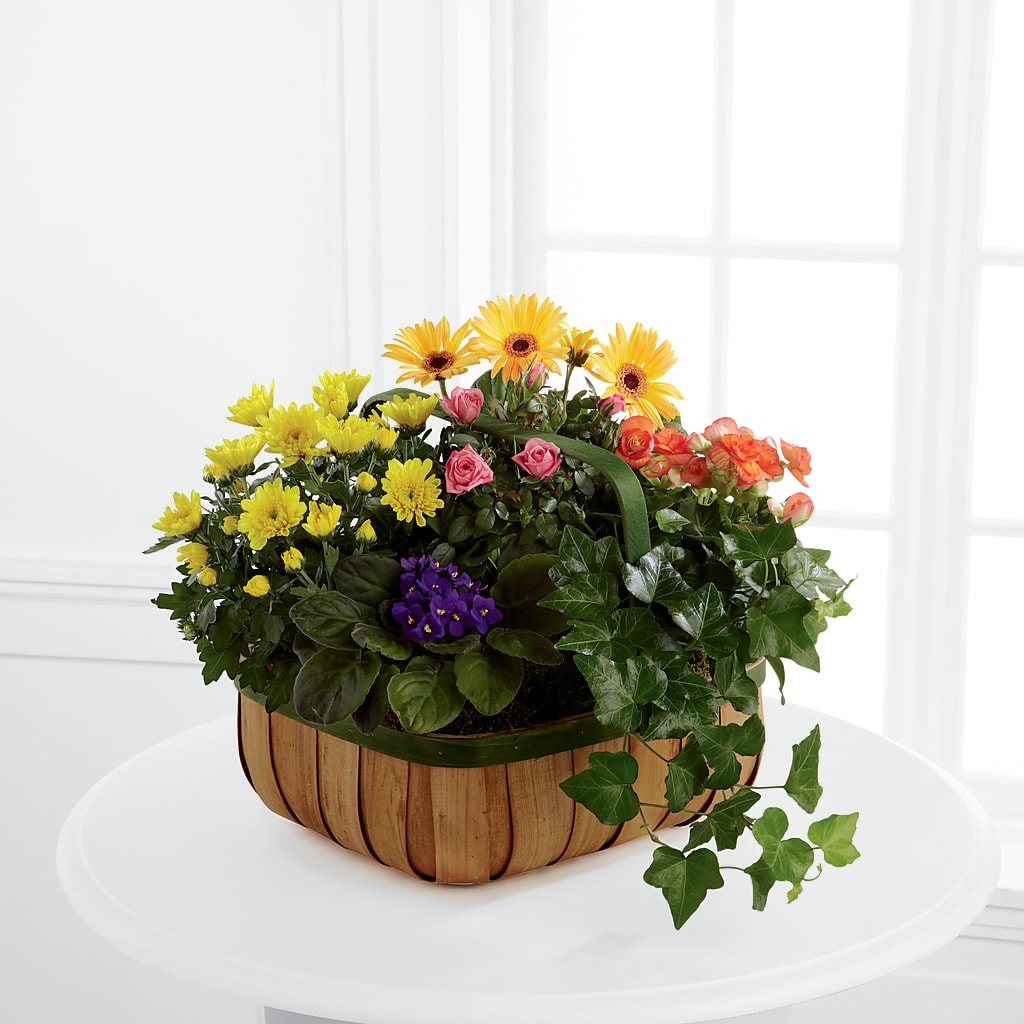 Gentle Blossoms Basket – Jewel, Itasca IL