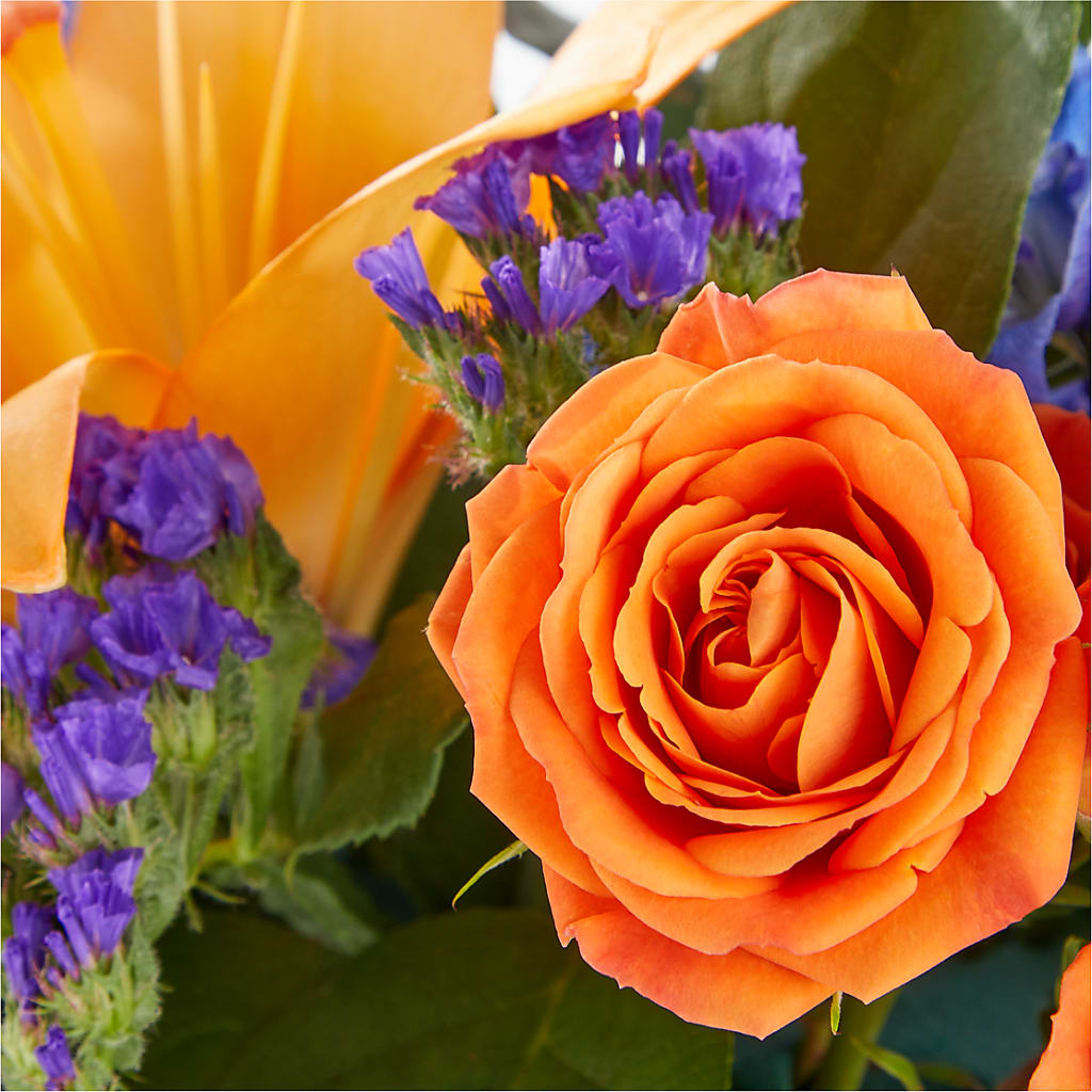 Radiant Citrus Box Bouquet – Jewel, Itasca IL