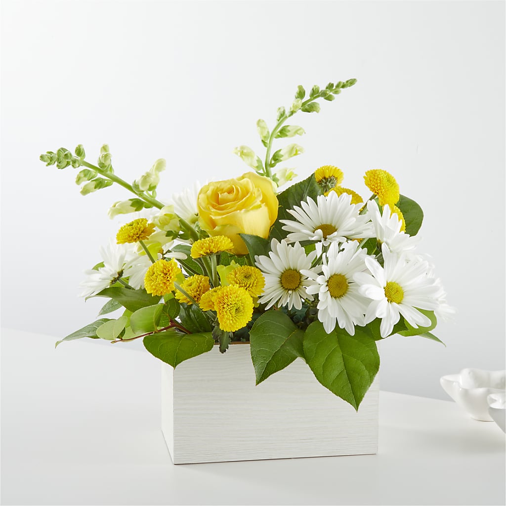 Sun Salutation Box Bouquet – Jewel, Itasca IL