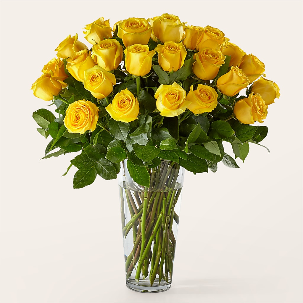 Long Stem Yellow Rose Bouquet – Jewel, Itasca IL