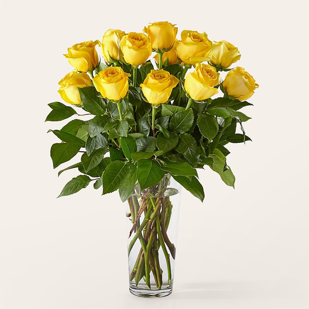 Long Stem Yellow Rose Bouquet – Jewel, Itasca IL