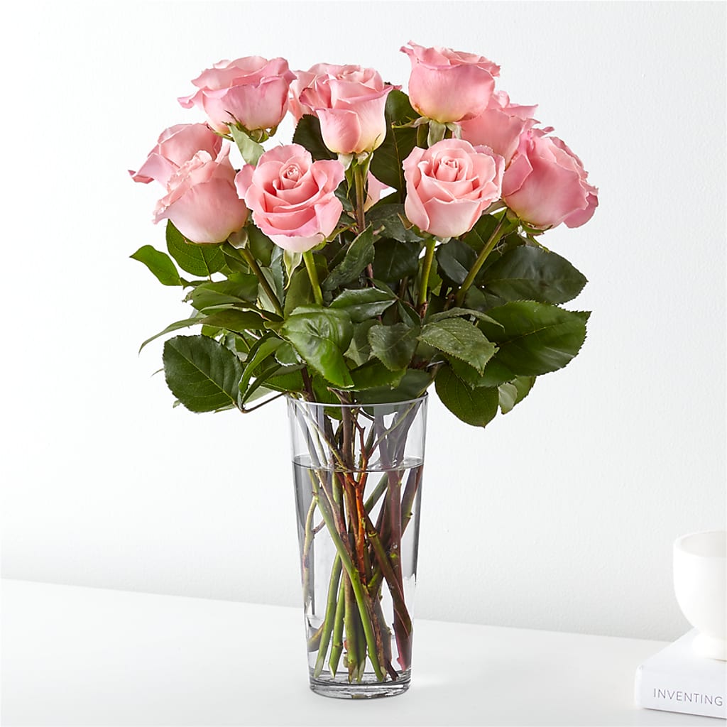 Long Stem Pink Rose Bouquet – Jewel, Itasca IL