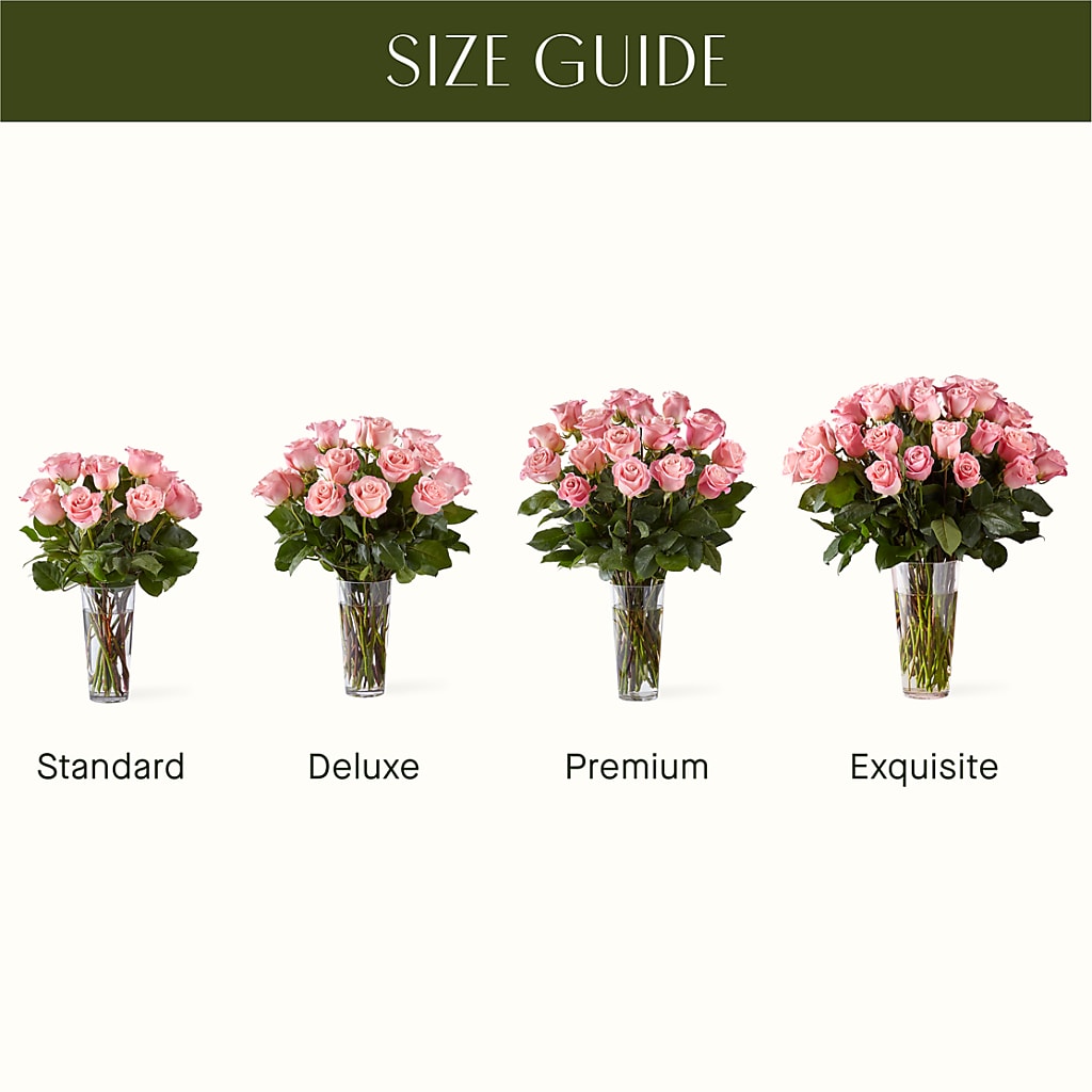 Long Stem Pink Rose Bouquet – Jewel, Itasca IL