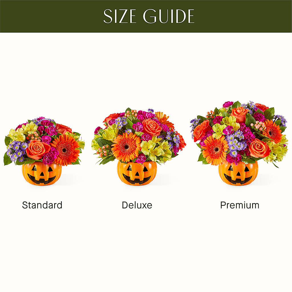 Tricks & Treats Pumpkin – Jewel, Itasca IL