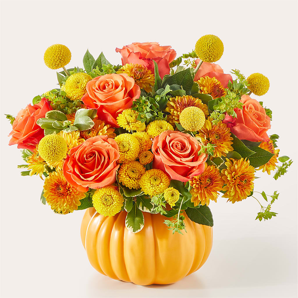 Gourdgeous Pumpkin – Jewel, Itasca IL