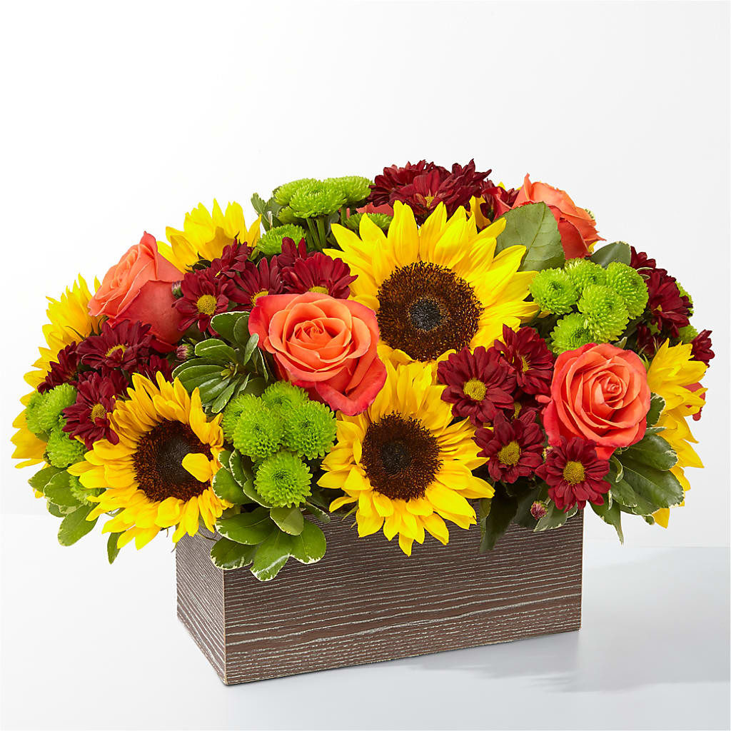 Happy Harvest Garden – Jewel, Itasca IL