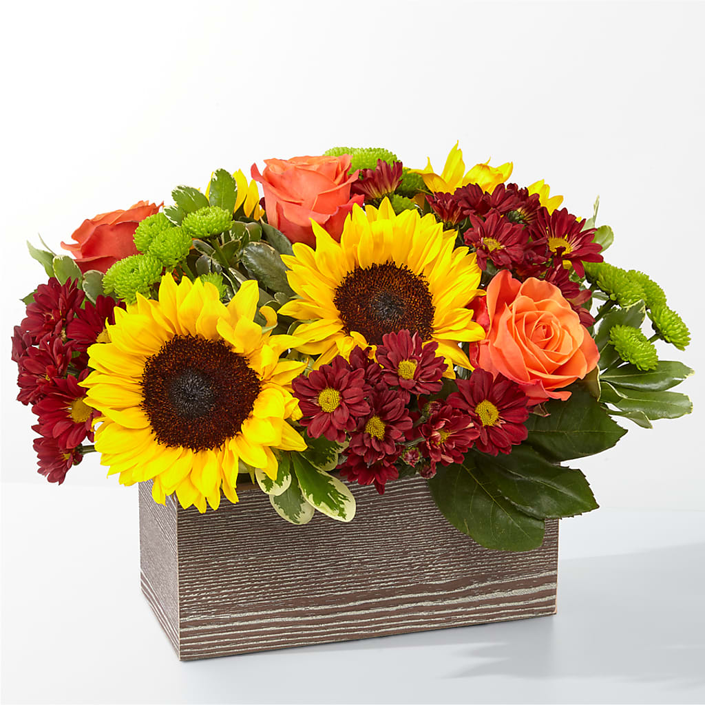 Happy Harvest Garden – Jewel, Itasca IL
