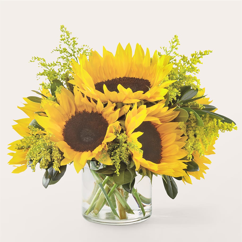 Beaming Sunflower Bouquet – Jewel, Itasca IL