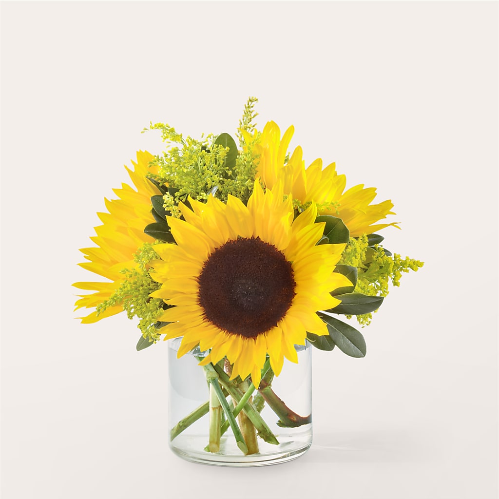 Beaming Sunflower Bouquet – Jewel, Itasca IL
