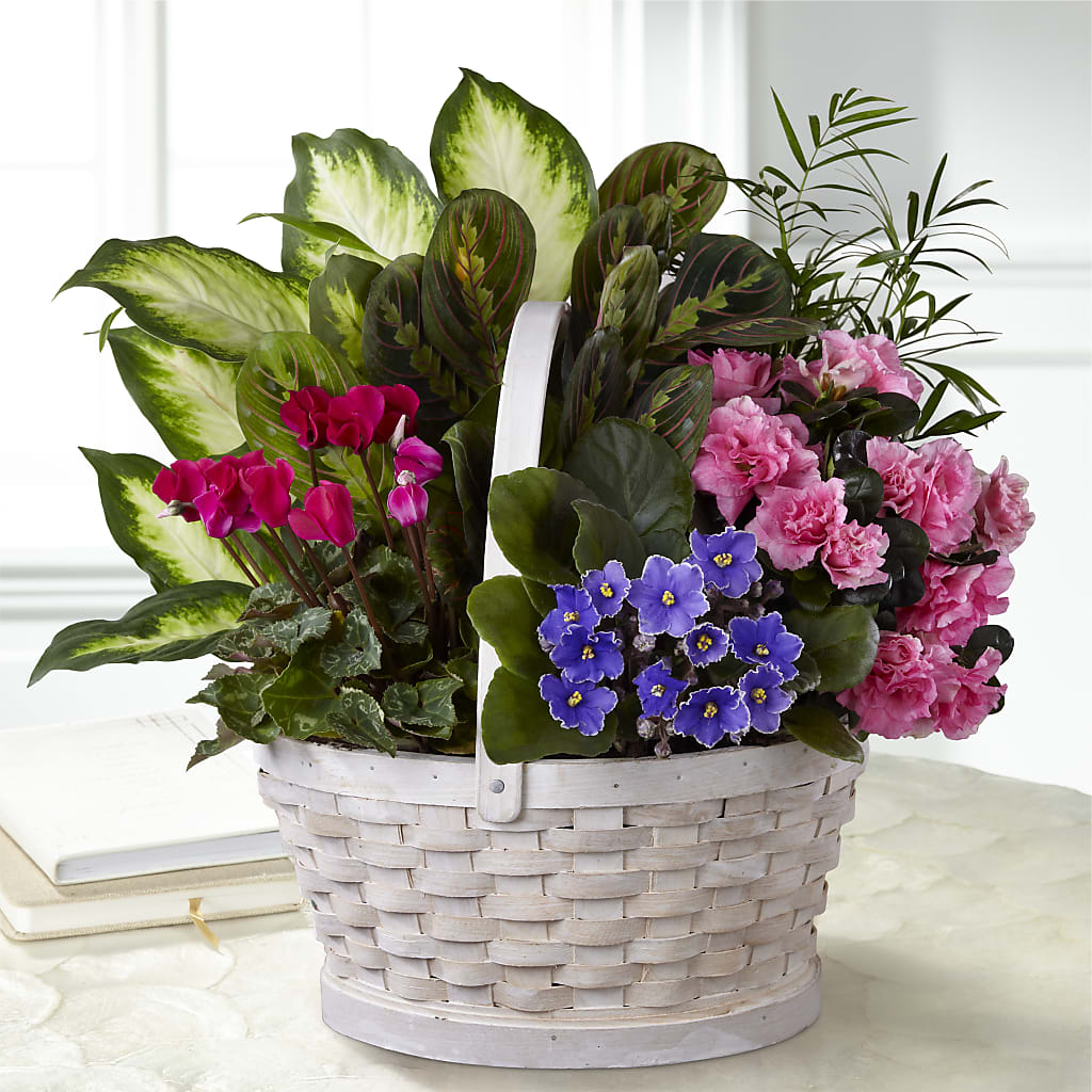 Peaceful Garden Planter – Jewel, Itasca IL
