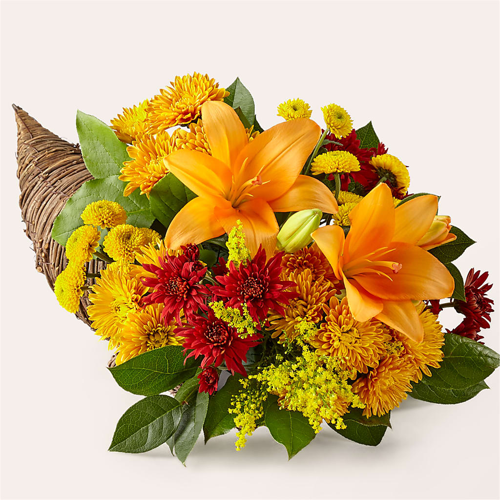 Feast of Color Cornucopia – Jewel, Itasca IL
