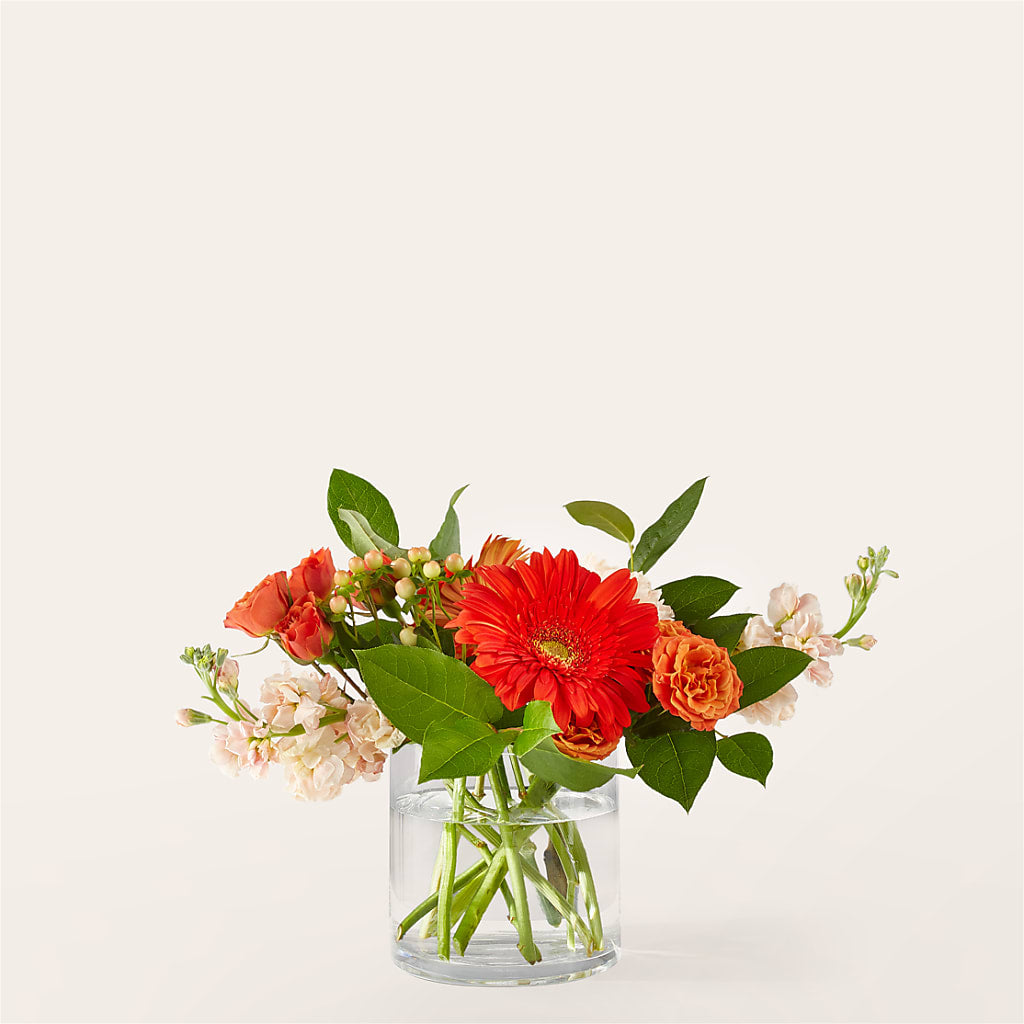 Paloma Please Bouquet – Jewel, Itasca IL