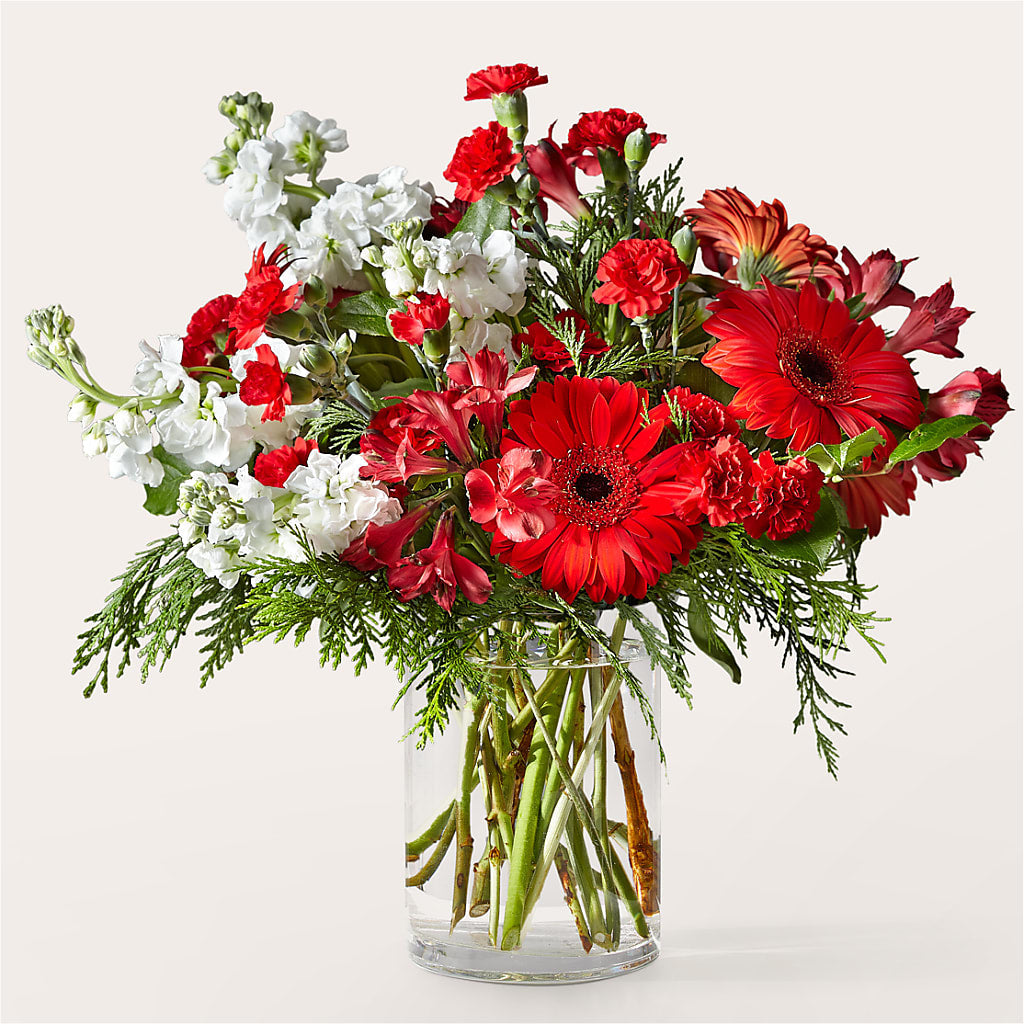 Holidaisy Bouquet – Jewel, Itasca IL