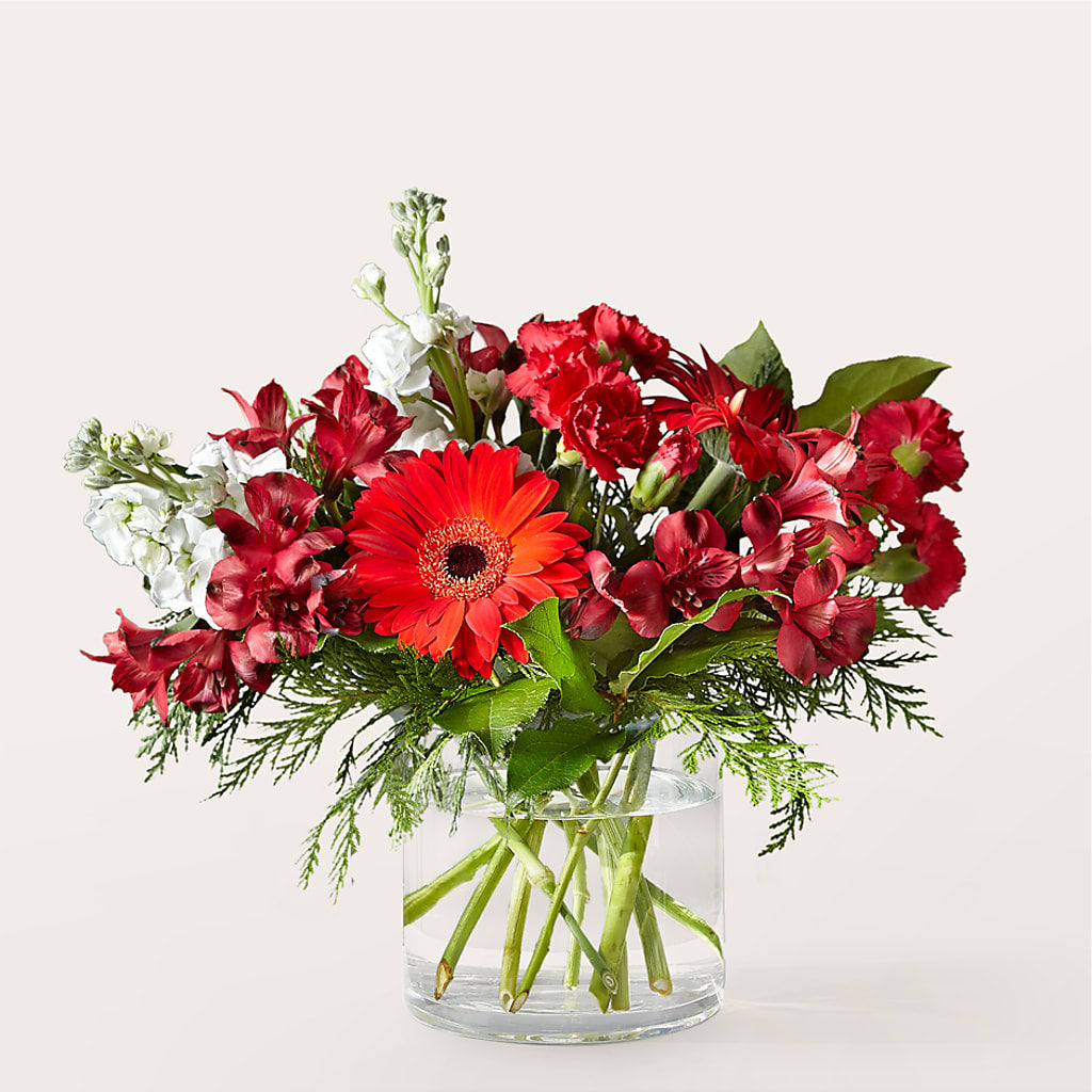 Holidaisy Bouquet – Jewel, Itasca IL