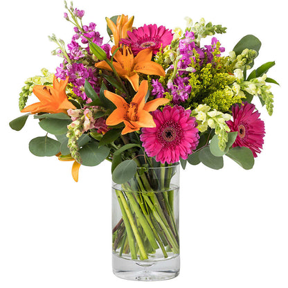 Fiesta Supreme Arrangement –  Jewel, Itasca IL