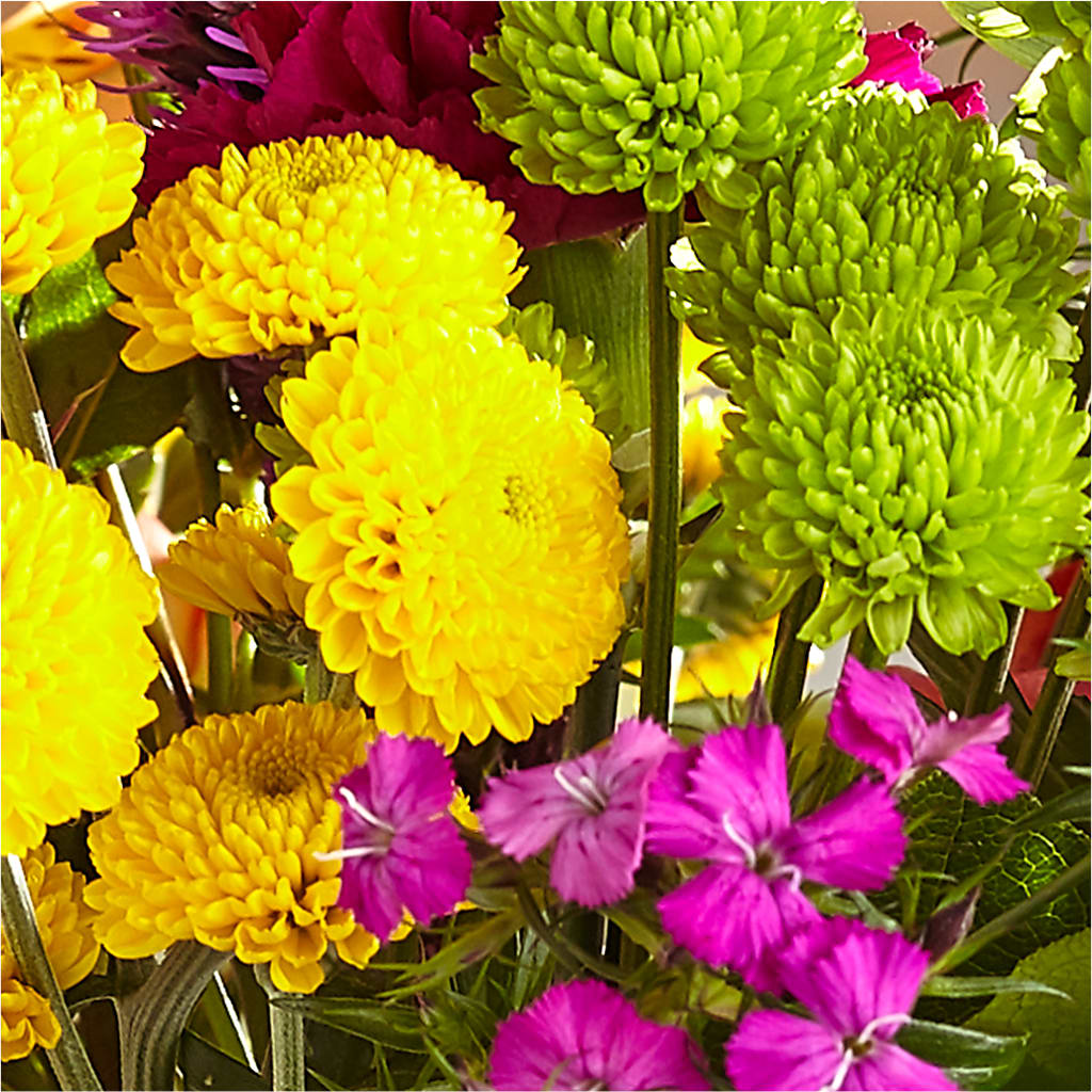 Bold & Bright – A Florist Original –  Jewel, Itasca IL