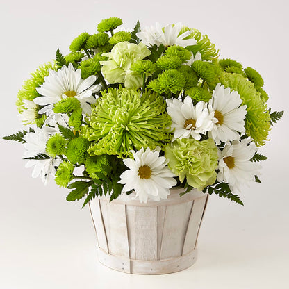 Lucky Charm Basket (Standard) –  Jewel, Itasca IL