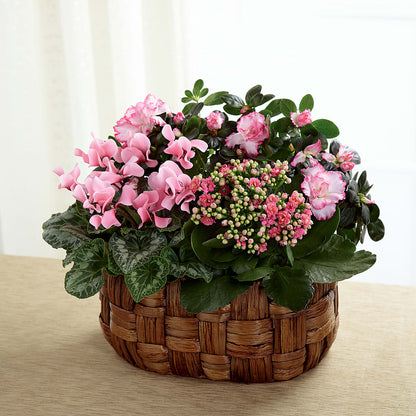 Pink Assortment –  Jewel, Itasca IL