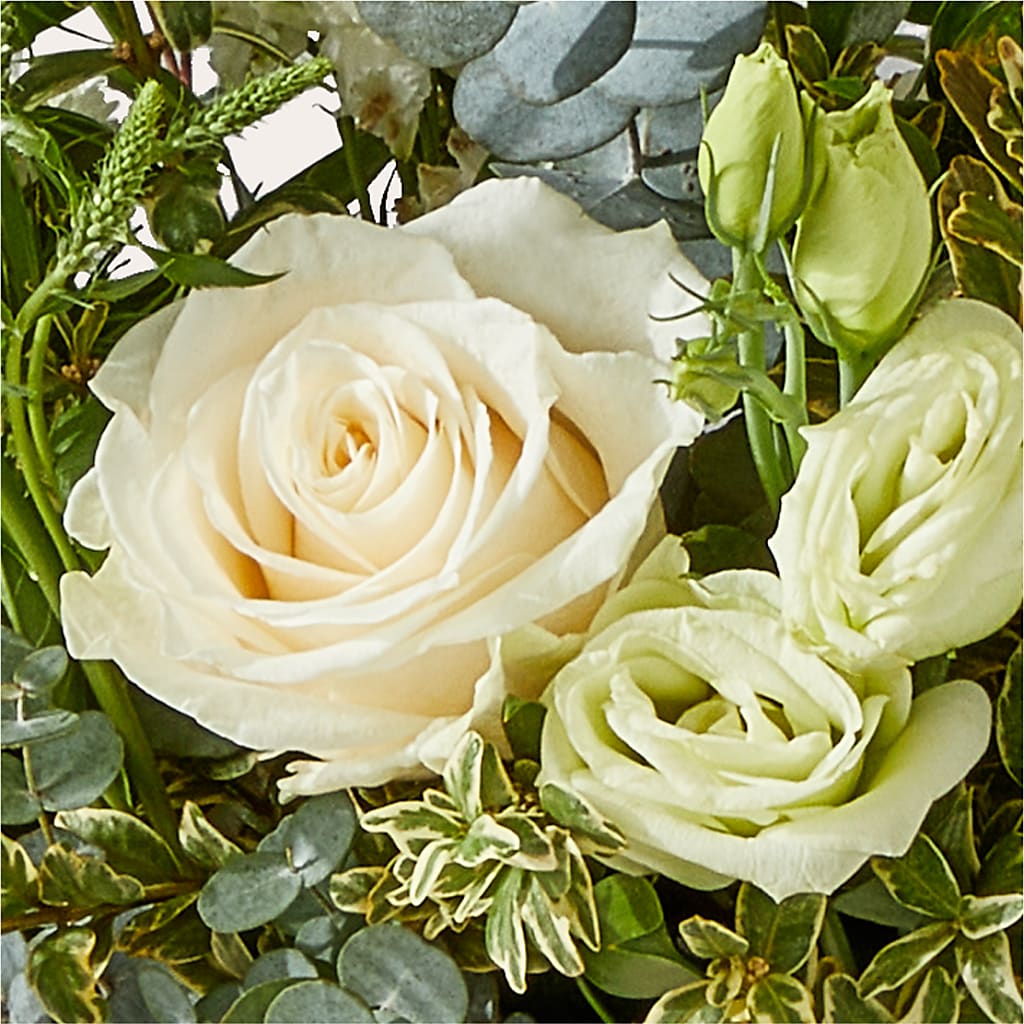 Cashmere Bouquet –  Jewel, Itasca IL