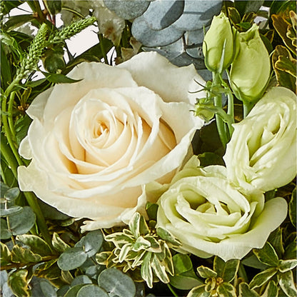 Cashmere Bouquet –  Jewel, Itasca IL