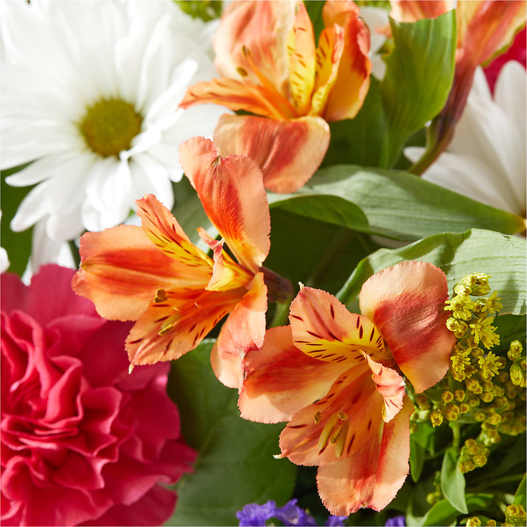 Oopsie Daisy Box Bouquet –  Jewel, Itasca IL