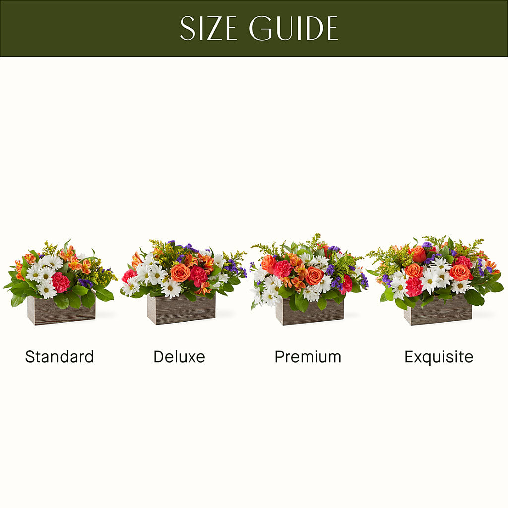 Oopsie Daisy Box Bouquet –  Jewel, Itasca IL