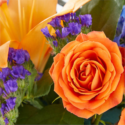 Radiant Citrus Box Bouquet –  Jewel, Itasca IL