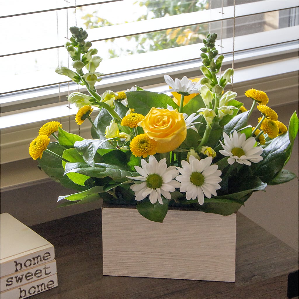 Sun Salutation Box Bouquet –  Jewel, Itasca IL
