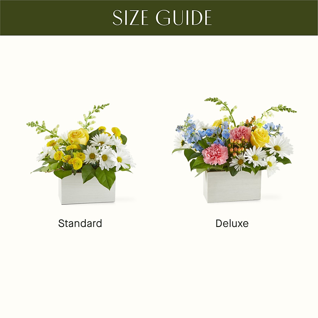 Sun Salutation Box Bouquet –  Jewel, Itasca IL