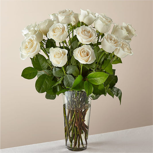 Long Stem White Rose Bouquet –  Jewel, Itasca IL