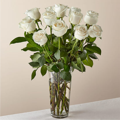 Long Stem White Rose Bouquet –  Jewel, Itasca IL