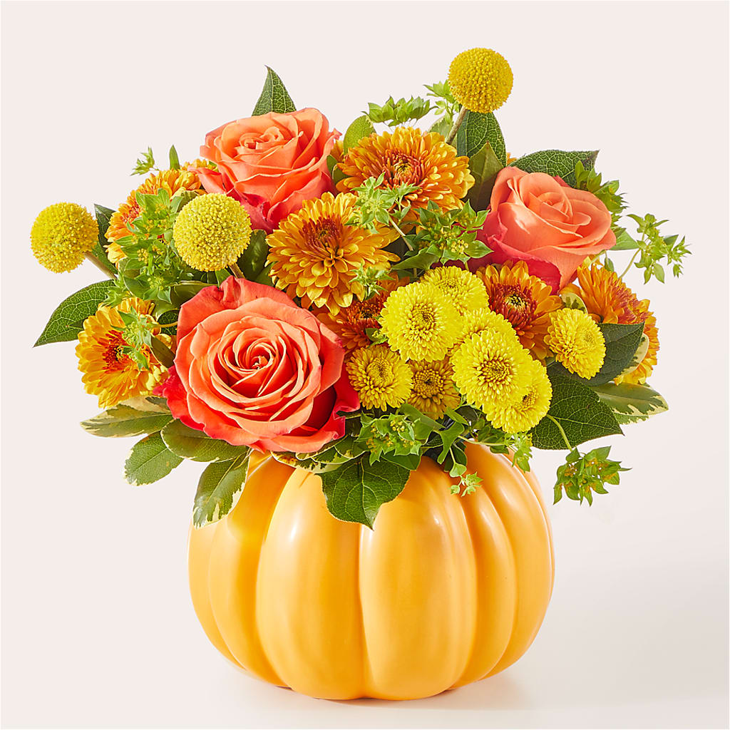 Gourdgeous Pumpkin –  Jewel, Itasca IL