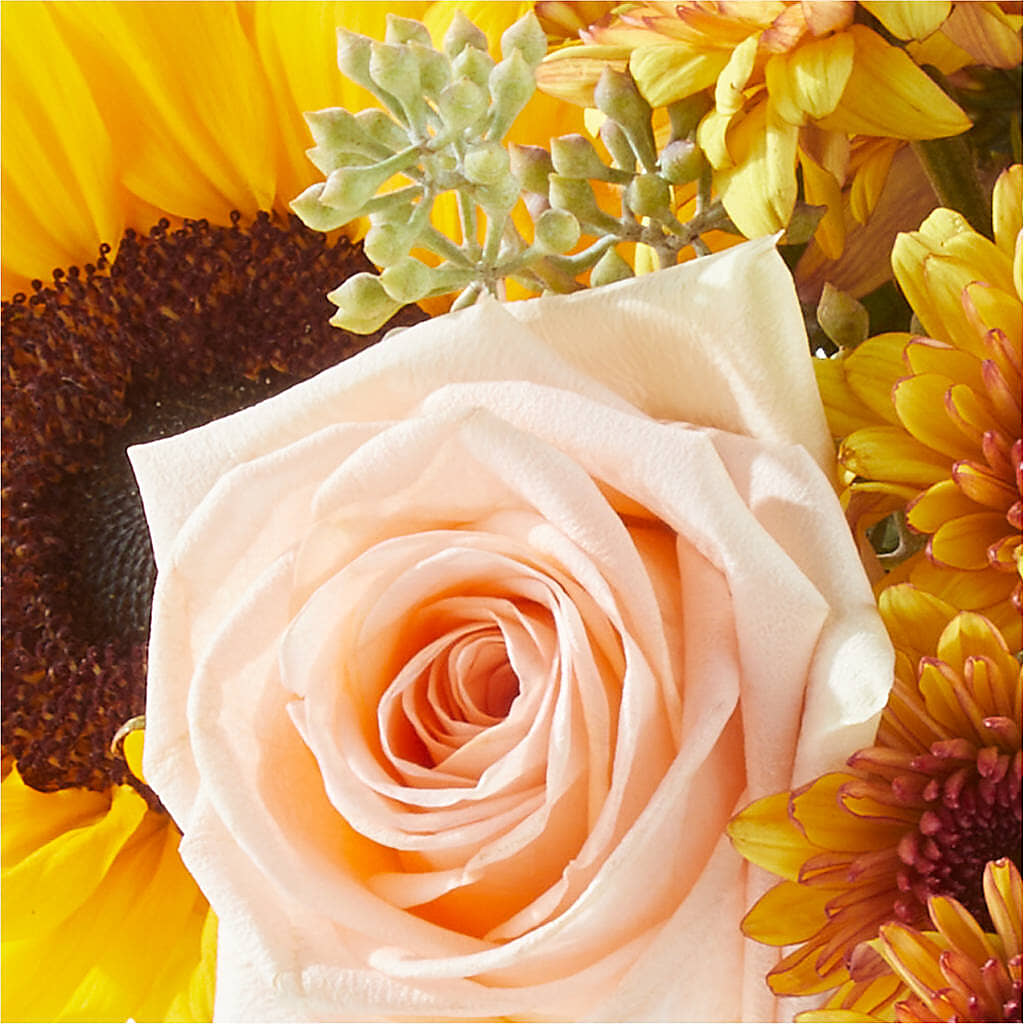 Pumpkin to Talk About Bouquet –  Jewel, Itasca IL