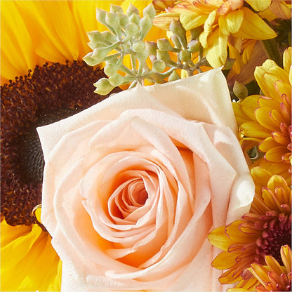 Pumpkin to Talk About Bouquet –  Jewel, Itasca IL