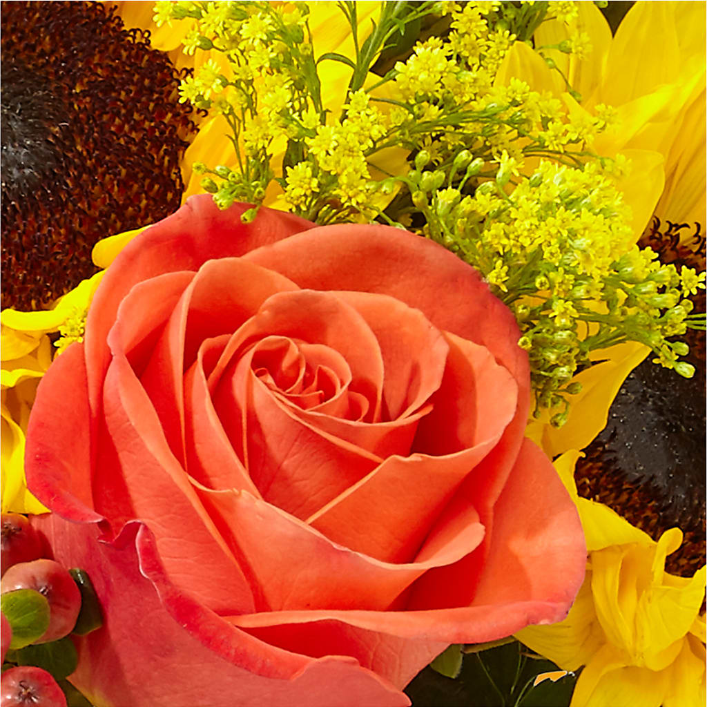 Pick of the Patch Pumpkin Bouquet –  Jewel, Itasca IL