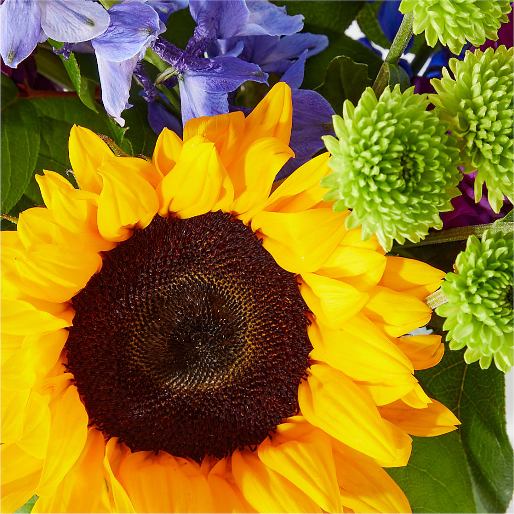 Catching Rays Bouquet –  Jewel, Itasca IL
