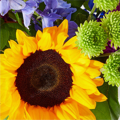 Catching Rays Bouquet –  Jewel, Itasca IL