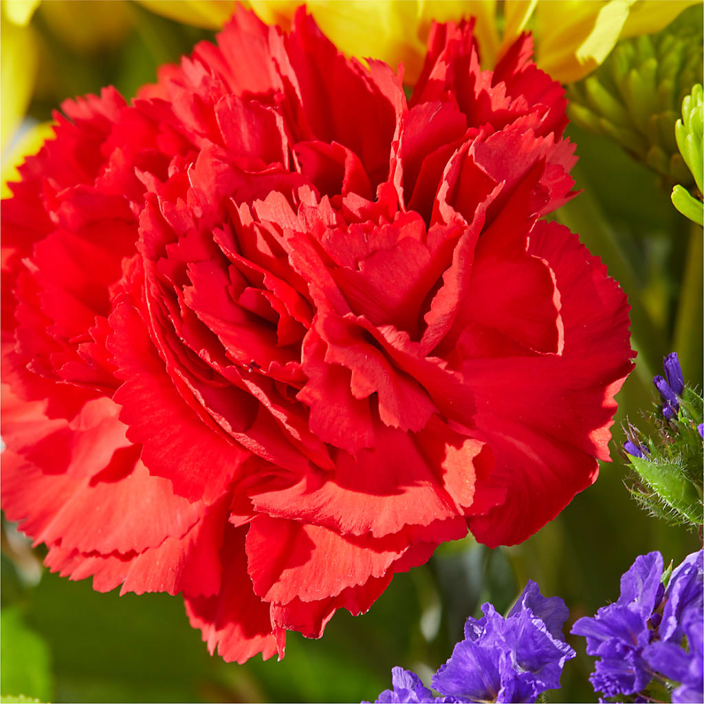 Brighter Days Bouquet –  Jewel, Itasca IL
