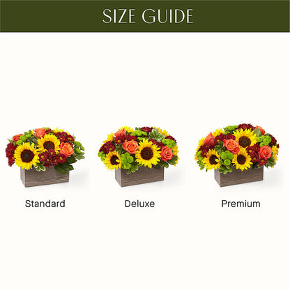 Happy Harvest Garden –  Jewel, Itasca IL