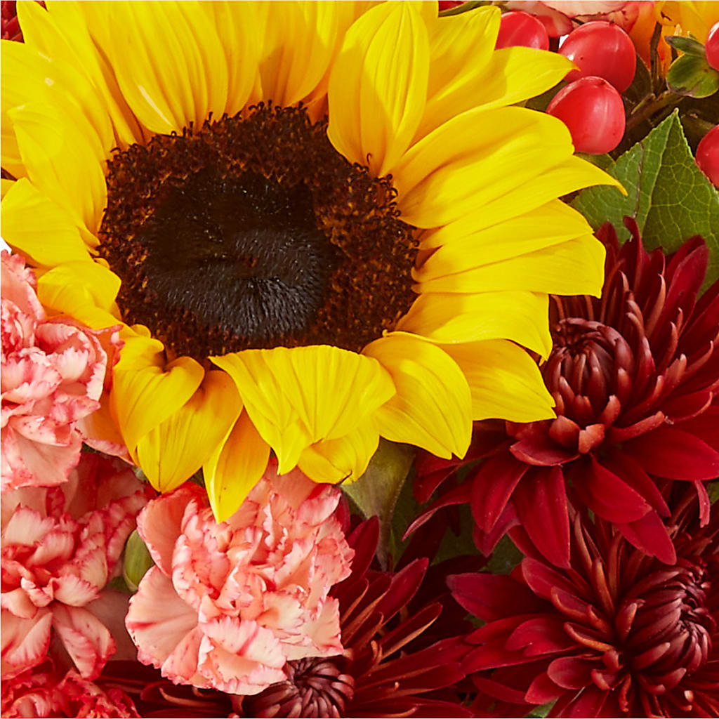 Fresh Cider Bouquet –  Jewel, Itasca IL