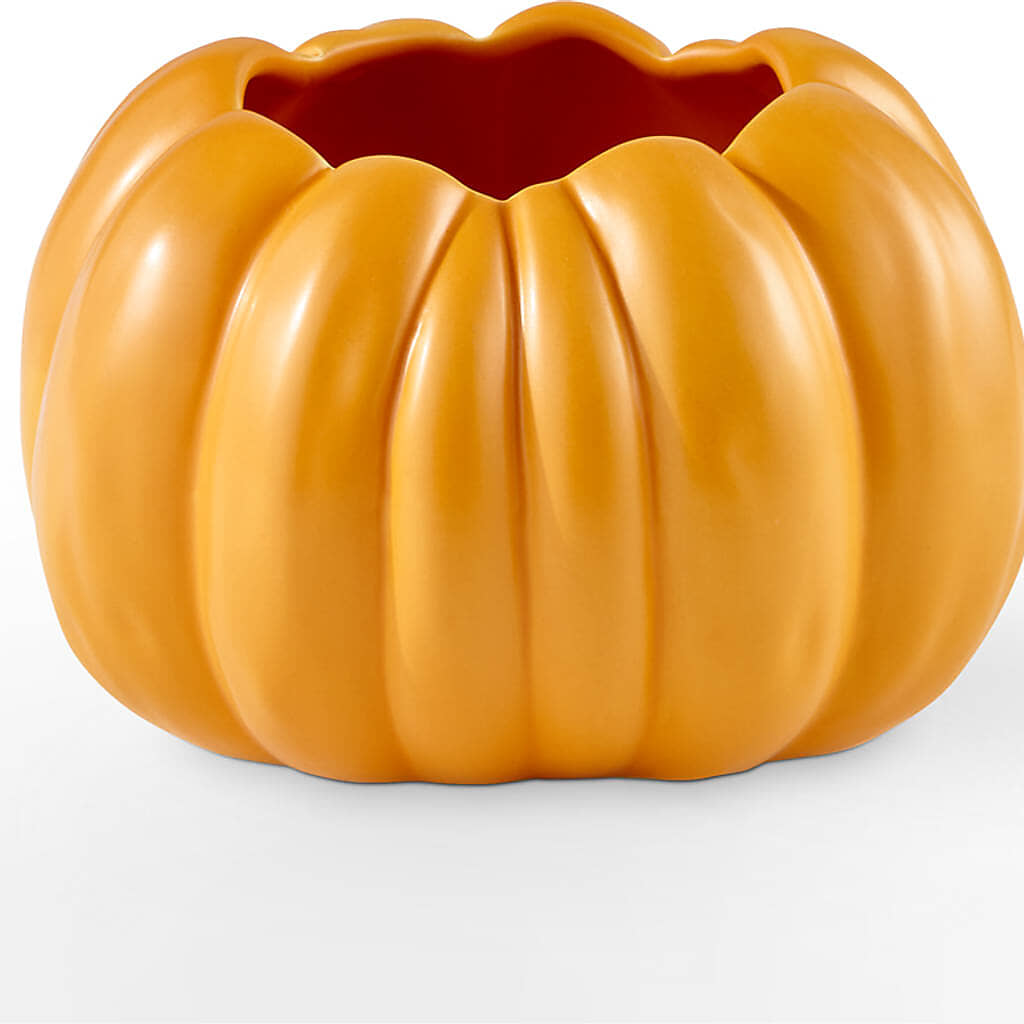 Pick of the Patch Pumpkin Bouquet –  Jewel, Itasca IL