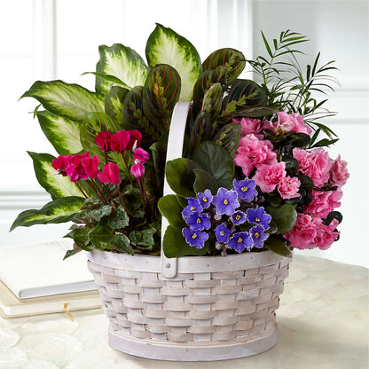 Peaceful Garden Planter –  Jewel, Itasca IL