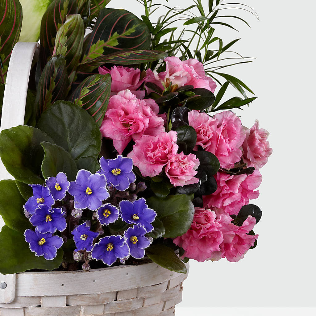 Peaceful Garden Planter –  Jewel, Itasca IL