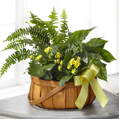 Always Dear Dishgarden –  Jewel, Itasca IL