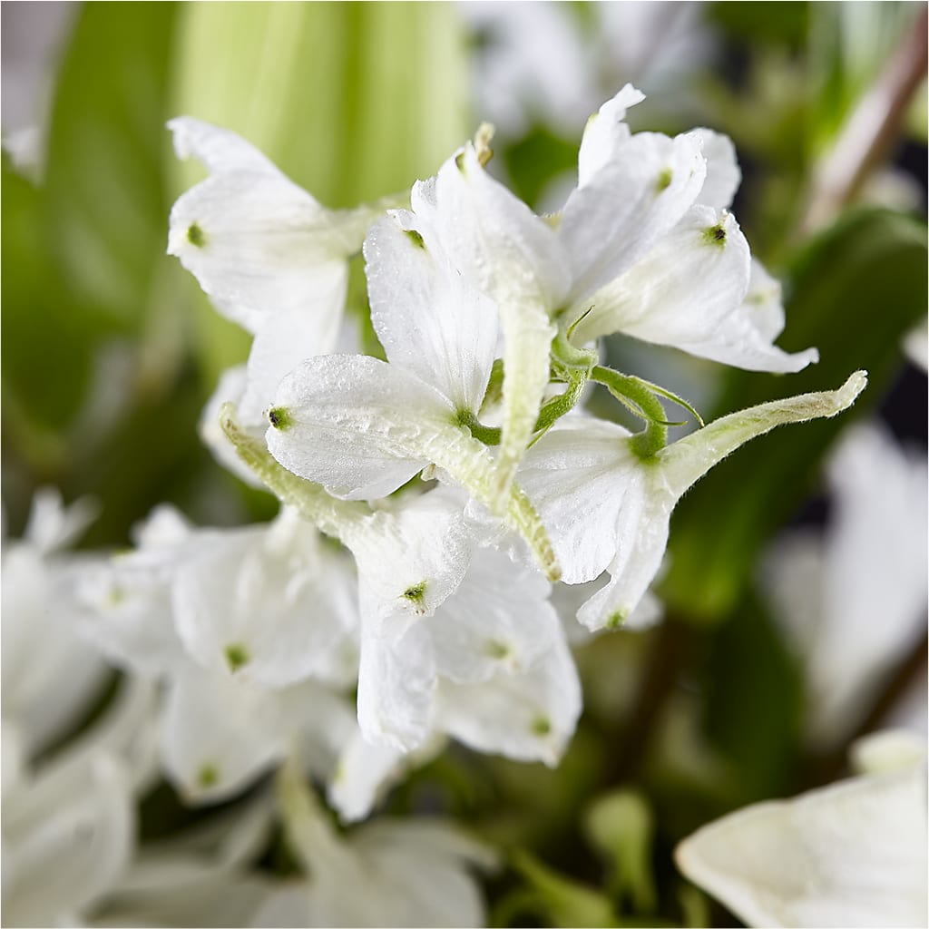 Classic Ivory – A Florist Original –  Jewel, Itasca IL