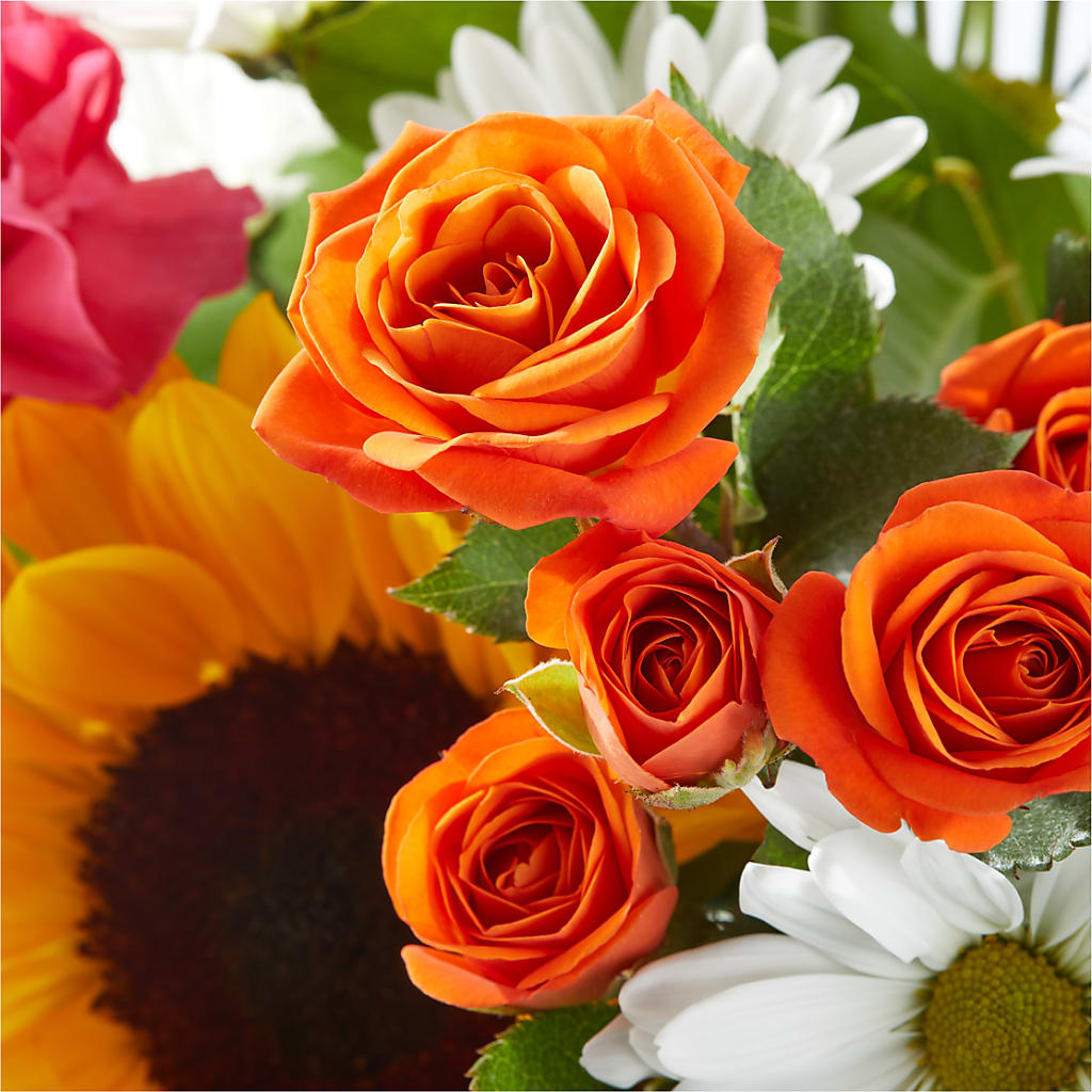 Sun-drenched Blooms Bouquet –  Jewel, Itasca IL