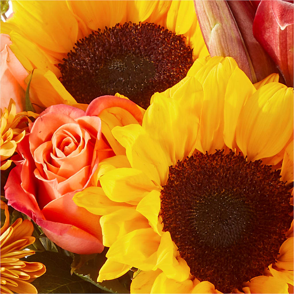 Acorn Lane Bouquet –  Jewel, Itasca IL